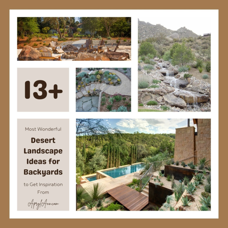 13  Most Wonderful Desert Landscape Ideas For Backyards
