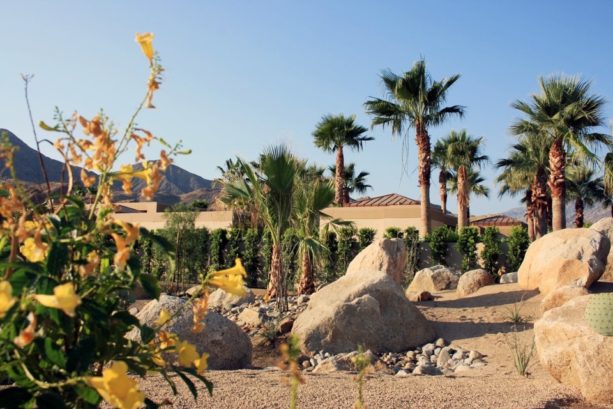 large desert in a backyard with gravel landscape idea