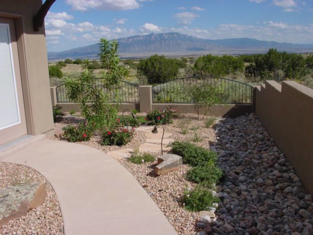 small conventional desert backyard idea with stone landscape