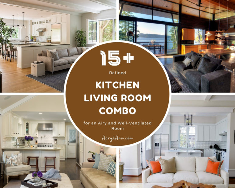 15  Refined Kitchen Living Room Combo For An Airy And Well Ventilated Room