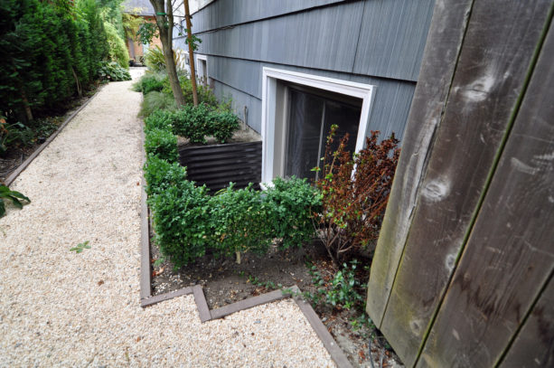 corrugated metal basement window well with decorative bushes around