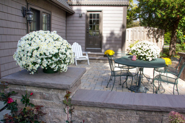 small concrete backyard with a no-cover elegant patio