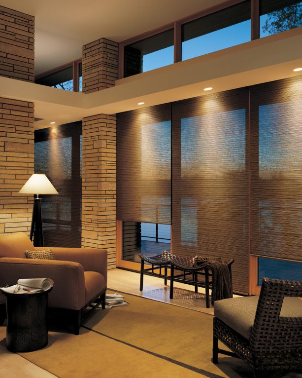 woven textures roller shades as a sidelights window treatment highlighted by lights