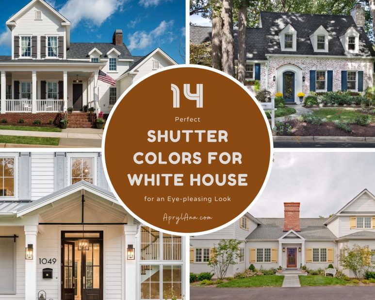 14 Perfect Shutter Colors For White House