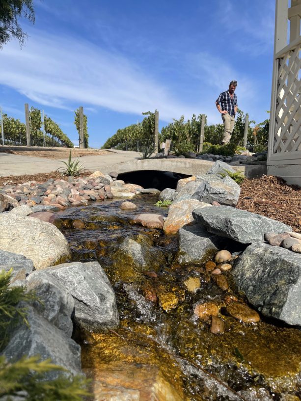 a rock garden without plants served as a stream completed with a bridge