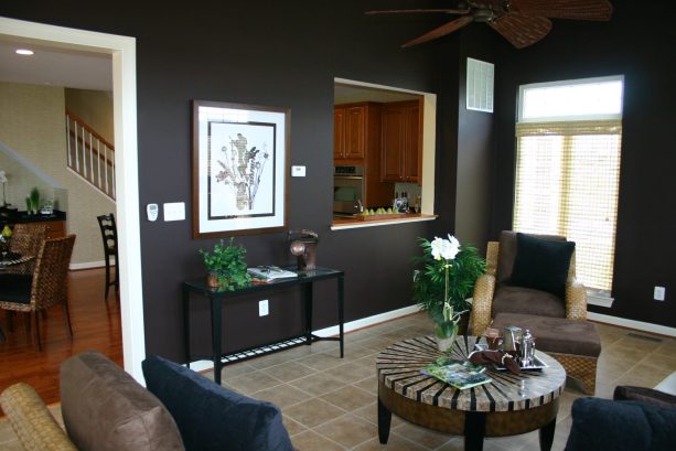 open floor plan contemporary living room with black walls and light brown floor