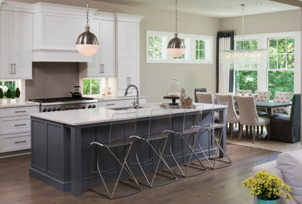 simple shaker trim in a transitional kitchen